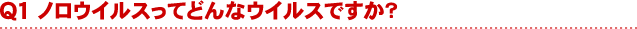 ノロウイルスってどんなウイルスですか？