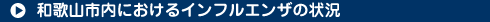 �a�̎R�s�ɂ�����V�^�C���t���G���U(H1N1)�̔�����